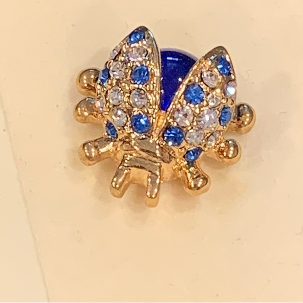 Blue Ladybug pin